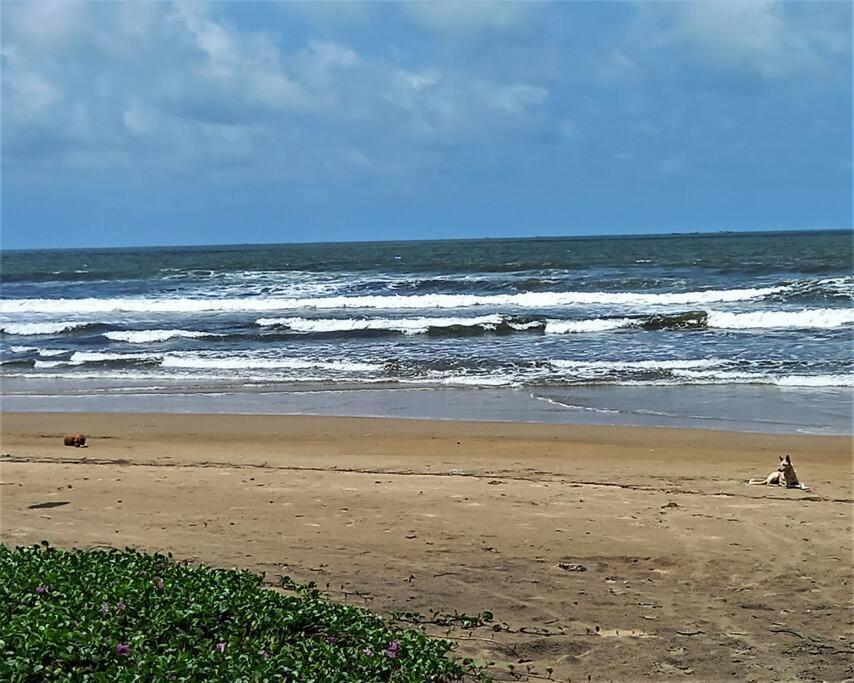 Cockerel Homestay - Traditional Beach Village - Goa Canacona Exteriér fotografie