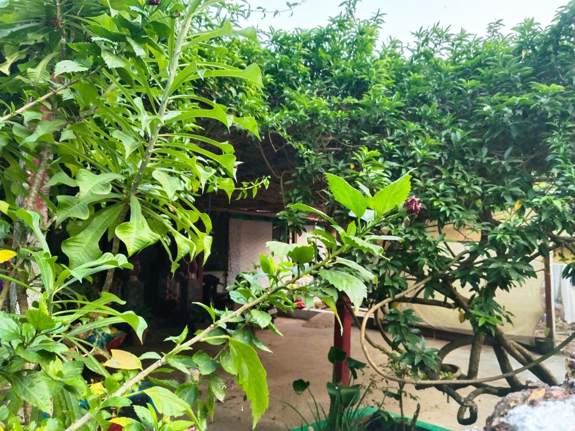 Cockerel Homestay - Traditional Beach Village - Goa Canacona Exteriér fotografie